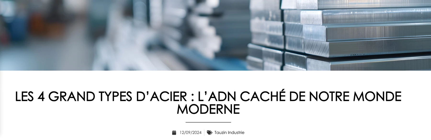 Guide des types d'acier sur le site tauzingroup.com
